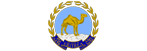 logoipsum